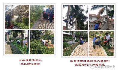 荔城碧桂園2019年1月第四周工作簡報(bào)暨苑區(qū)重點(diǎn)改造項(xiàng)目匯報(bào)